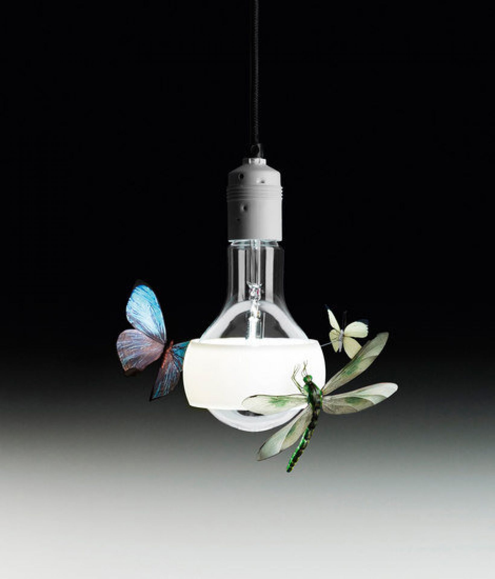 Johnny B. Butterfly Suspension Ingo Maurer